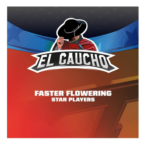 El Gaucho Faster X2 Star Players - Bsf Seeds