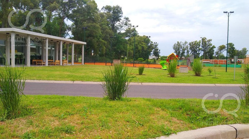 Imagen 8 de 9 de Terreno - Pilar Del Este