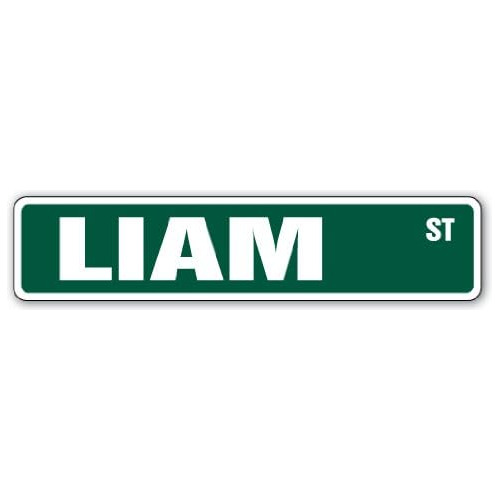Liam Street Sign Childrens Name Room Sign | Indoor/outd...