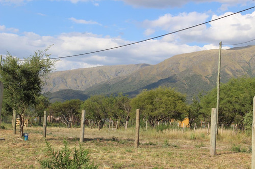 Lotes Financiados En Cortaderas Don Isidro