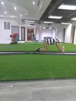 Comprar Grama Artificialpor Metro Barata Alfombra Grama Artificial