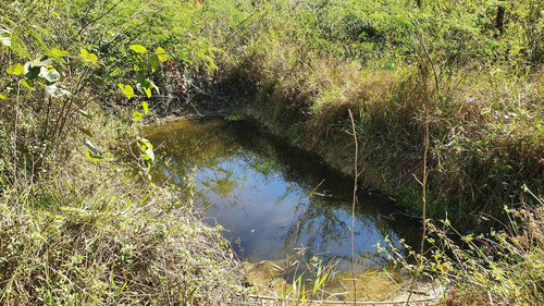 Imagem 8 de 9 de Terreno-para-venda-em-vila-das-palmeiras-morretes-pr - 105