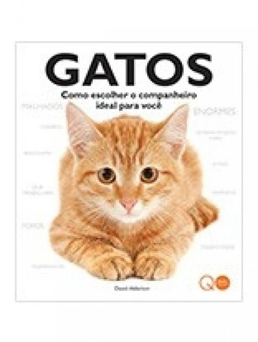 Gatos - Como Escolher O Companheiro Ideal Para Voce - Quarto