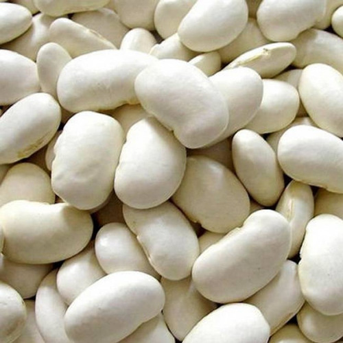 Fava Branca, Plantar/consumir+10 Tipos De Sementes De Brinde