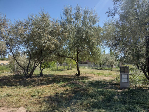 Terreno En General Roca Rio Negro