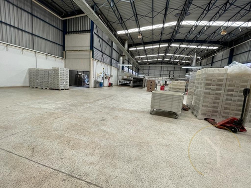 Imagem 12 de 15 de Excelente Galpão - 1400m² - Ramo Alimentício - Vila Lucia - São Paulo - 6726