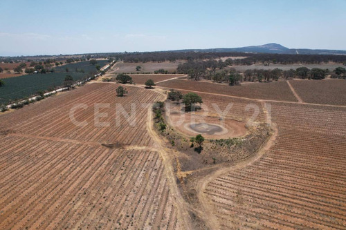 En Venta!!! Terreno Ubicado En Josefino De Allende, Jalisco.