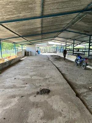 Hacienda-Finca en venta