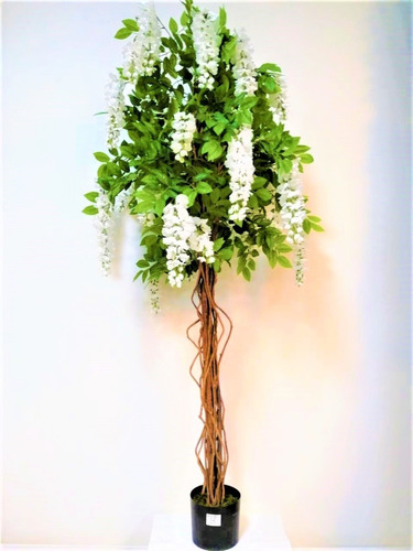 Planta Artificial Flores Blancas Pote 170cm De Arbocol