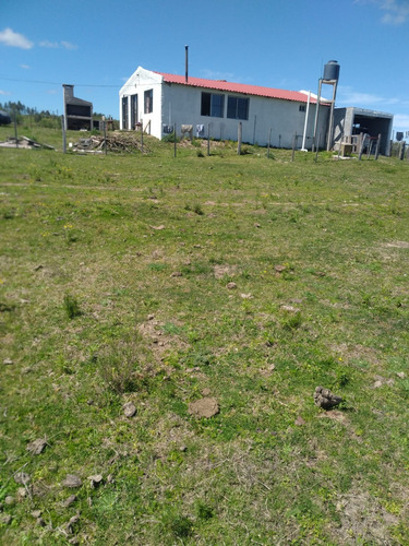 Chacra 13 Hectareas, Pronta Par Trabajar!!