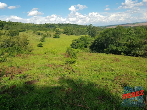 Chácaras_sítios_fazendas Para Venda - 13650.5197