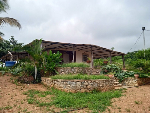 Imagen 2 de 12 de Granja Venta Cabudare En Venta, Piedad Sur, Estado Lara