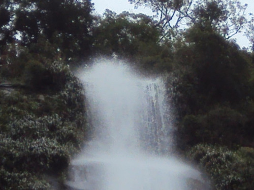 Imagem 3 de 6 de Área Para Compensação Ambiental