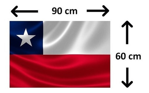 Bandera Chilena 60 X 90cms Tela Reforzada Anillos Metalicos