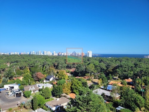 Imagen 20 de 22 de Apartamento De 2 Dormitorios Punta Del Este Avda.roosvelt