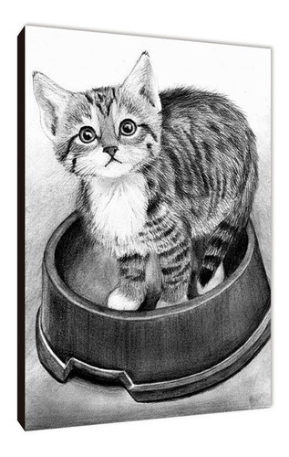 Cuadro Gatos Varios Modelos 15x20 (9)