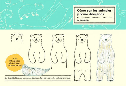 Cómo Son Los Animales Y Cómo Dibujarlos