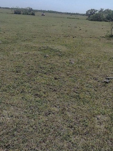 Imagen 2 de 10 de Se Vende Campo De 65 Hectareas En Rosario Del Tala, Entre Rios