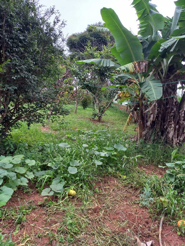 Imagem 6 de 30 de Chácara 28.340m2, Rica Em Água Com Açude, Árvores Frutíferas, Casa Sede Com 182m2, 2 Dormitórios, 1 Suíte, Curral, Pomar, Pasto, Poço Caipira - Ch00201 - 70578843