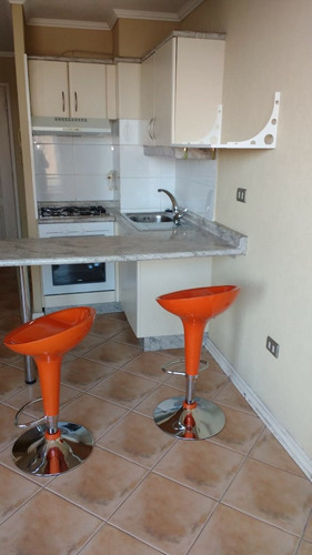 Arriendo Buen Depto A Pasos Centro Concepción