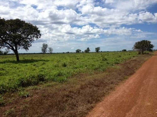 Imagem 17 de 30 de Fazenda À Venda, 430000 M² Por R$ 313.900.000,00 - Centro - Pium/to - Fa0047