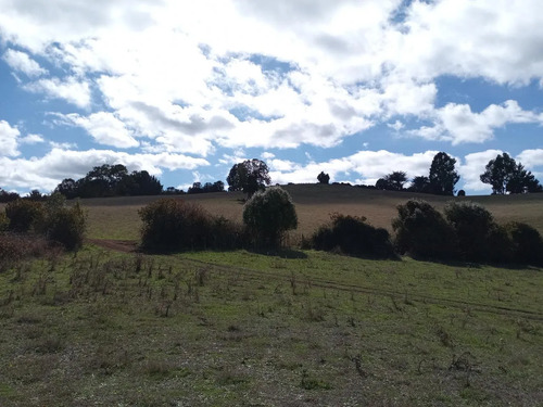 Maravillosa Parcela , Sector Cullinco Alto Carahue