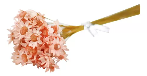 100 tallos naturales de flores secas brasileñas pequeñas estrellas  margaritas decorativas flores secas mini margarita ramo de manzanilla para  bodas