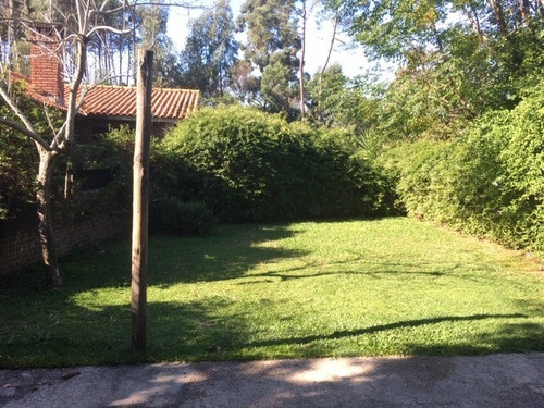Imagen 15 de 16 de Dos Casas Independientes En Un Mismo Padrón