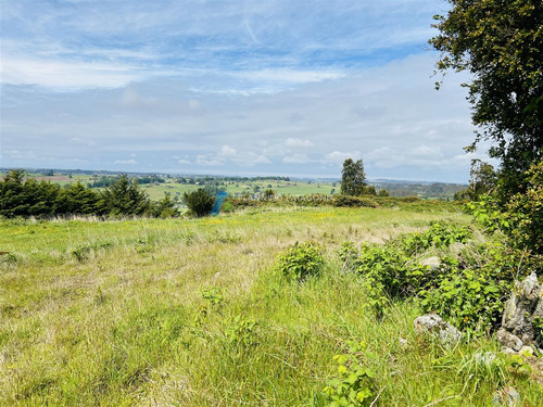 Parcelas En Venta Con Vista Al Lago Y Volcanes En Frutillar