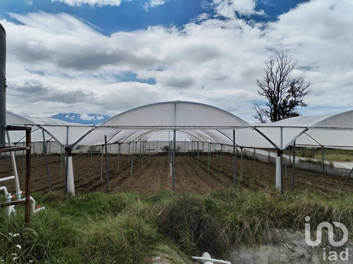 Venta Rancho 4 Ambientes San Juan Tuxco