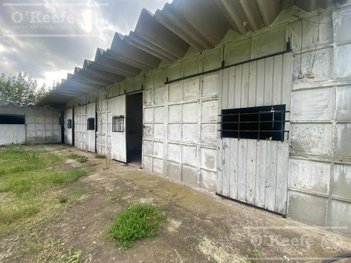 Chacra En Venta De 3,5 Has En Arturo Segui !!!