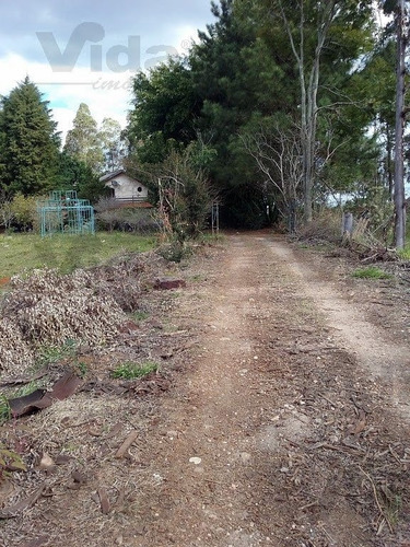Imagem 1 de 13 de Chácara Para Venda, 12000.0m² - 33444