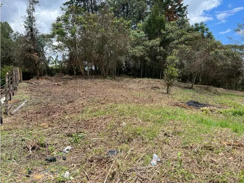 Lote En Venta Rionegro-los Pinos