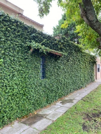 Imagen 2 de 15 de Casa En Venta En Constitución