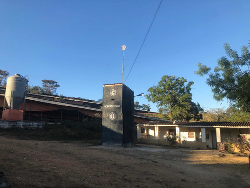 Imagen 2 de 4 de Granja Avícola De 11 Hectáreas De Propiedad Privada