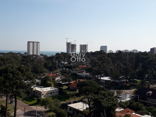 Imagen 7 de 21 de Apartamento En Zona De Roosevelt