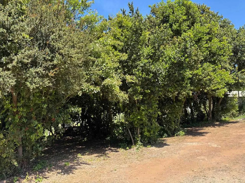 2 Casas En Parcela Mantagua (126584)