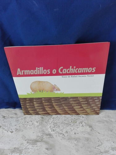 Armadillos O Cachicamos