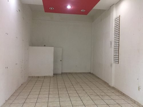 Imagen 3 de 8 de 3 Locales En Renta En El Centro Paseo De La Llata