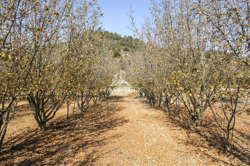 Hermosa Parcela En Venta Camino A Zapallar En Curicó