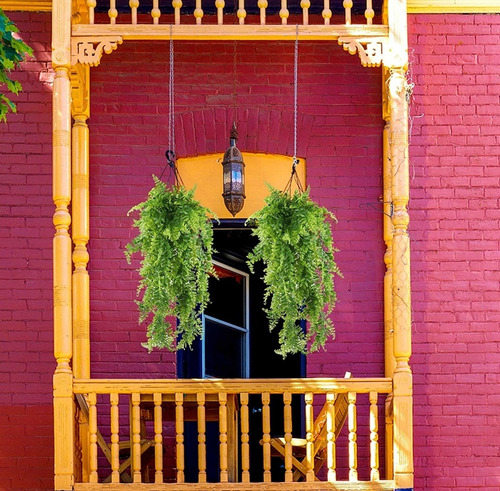 Plantas Artificiales Boston Ferns Colgantes De Vide