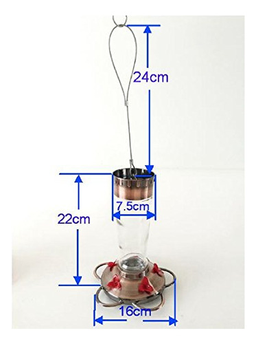 Chilipet Bebedero Alimentador Para Colibri P/nectar Comedero De 5 Puertos Y Con Botella De Cristal Capacidad De 384ml