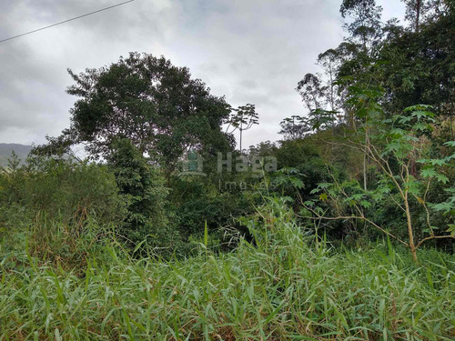 Terreno Rural Para Chácara À Venda Em Navegantes/sc - 1399c