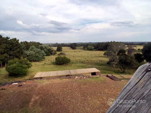 Imagen 6 de 29 de Chacra En Venta - La Pataia