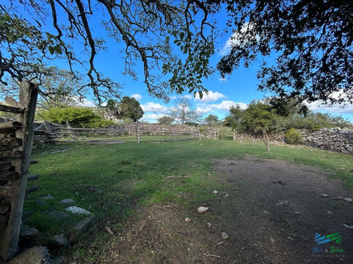 Imagen 24 de 24 de Lindo Campo Para Fraccionar, Sobre Ruta Y A Poco Mas De 1 Hora De Punta