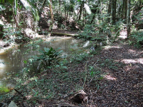 Imagem 10 de 14 de Piscina 20.270 M² Área De Churrasco Campo De Futebol