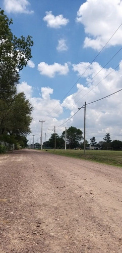 Imagen 13 de 18 de últimos Terrenos En Venta En San Andrés. Colonia Benítez