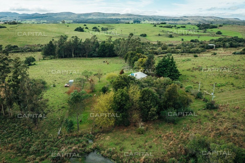 Imagen 9 de 15 de Chacra En Venta En Las Cañas - Zona Rural Las Cañas