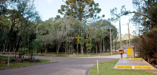 Imagem 9 de 16 de Terreno A Venda - 1081