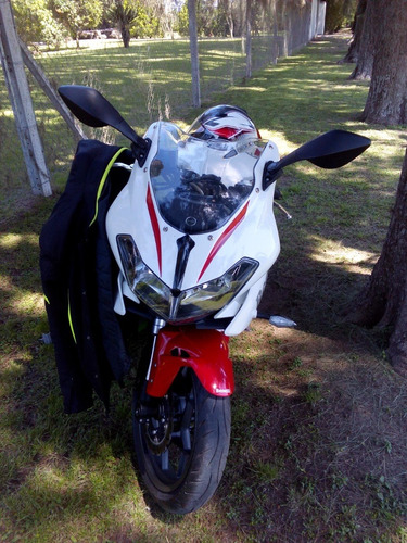Imagen 4 de 5 de Benelli 302r 2021